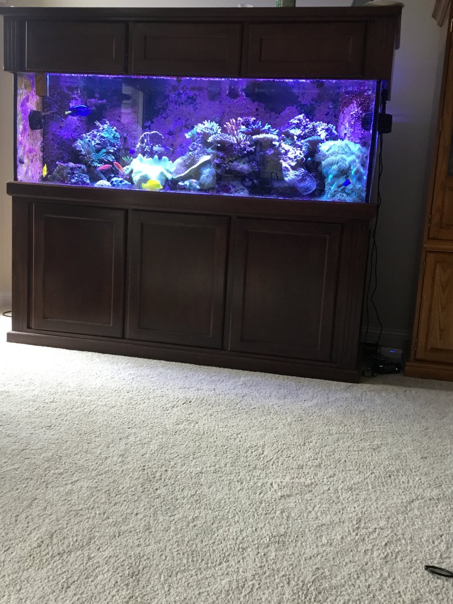 Lighting for use under a hood?  REEF2REEF Saltwater and Reef