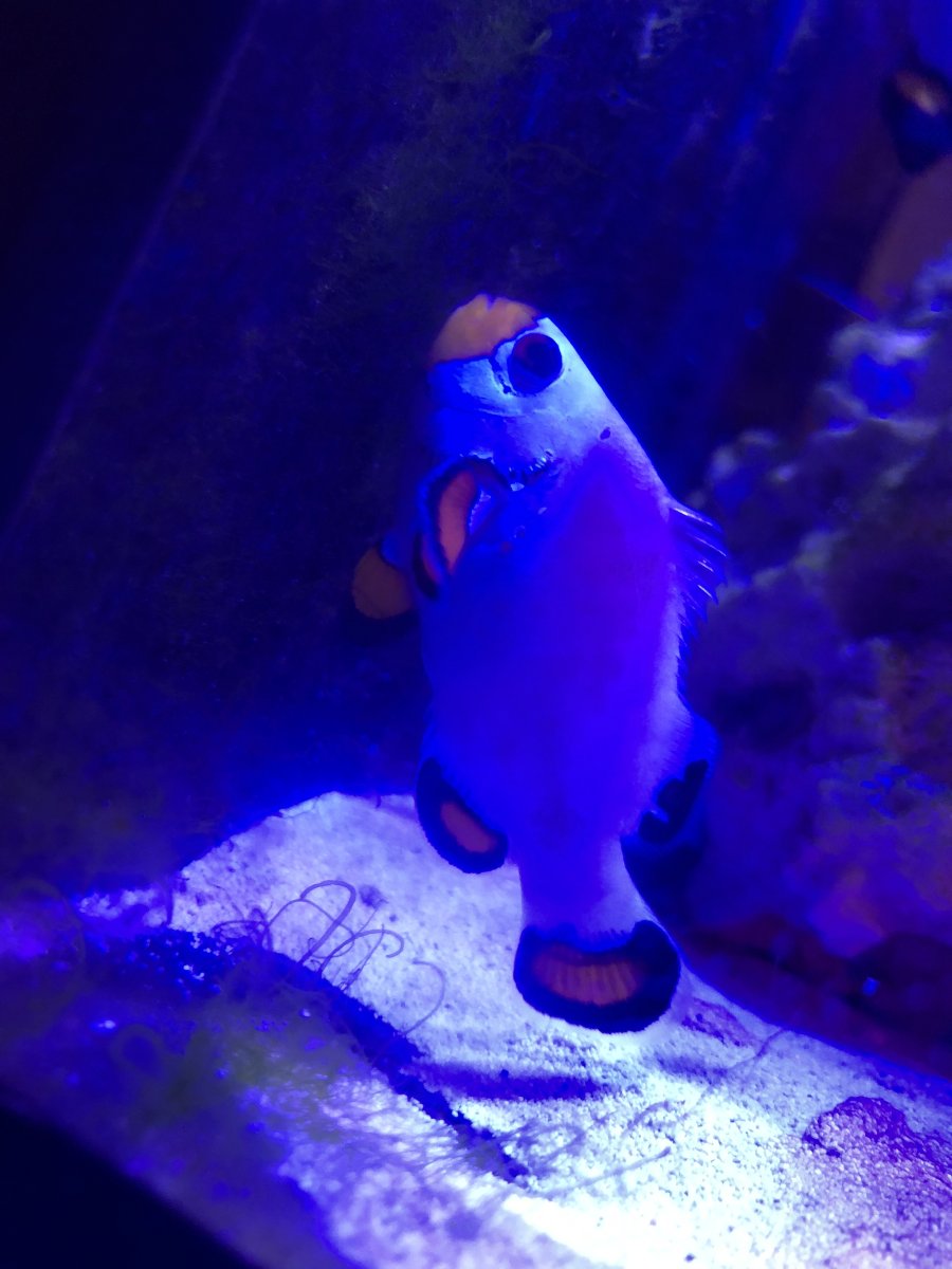 image.jpg