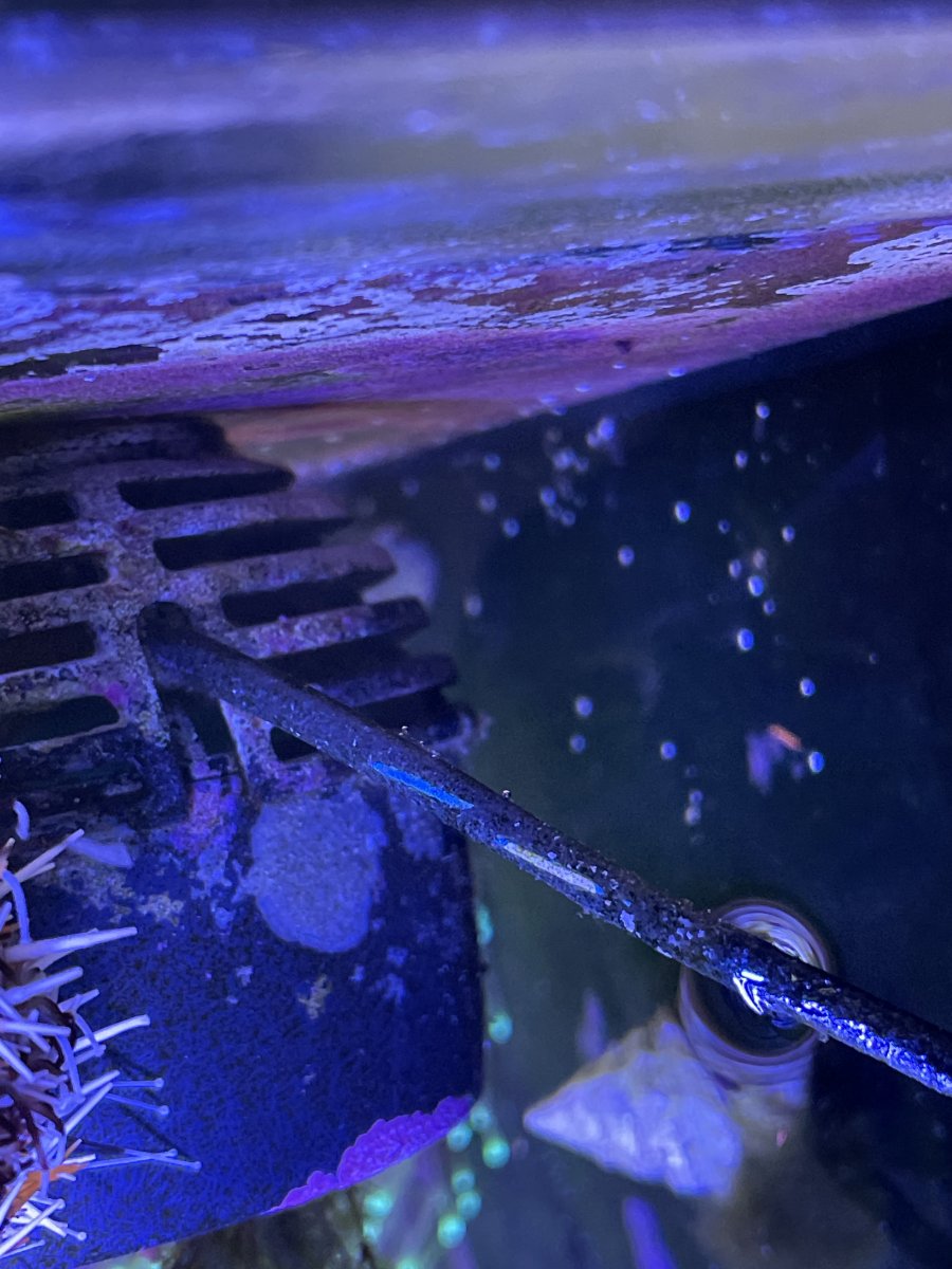 Can I use electrical tape in an aquarium? | Reef2Reef