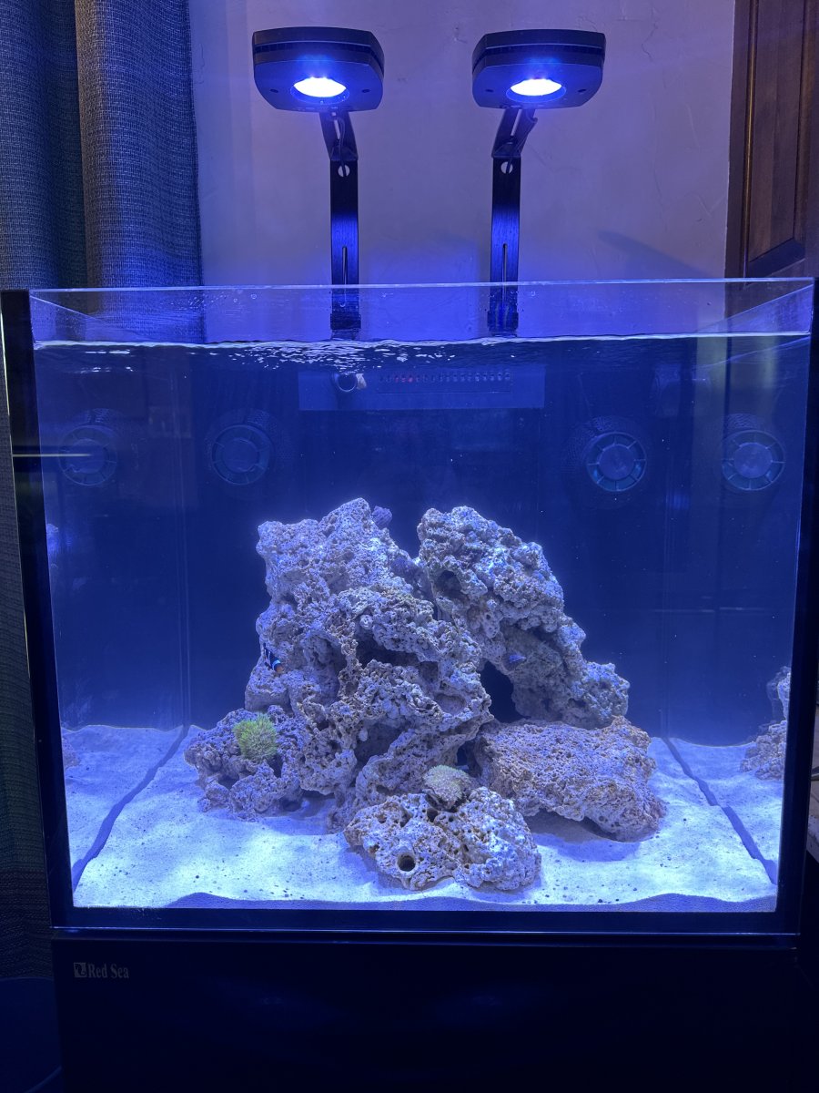 ちゃっぴー　Red Sea REEFER170G2 Red Sea REEFER MAX 170 G2+