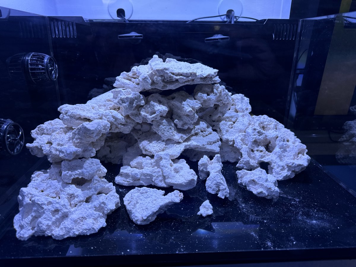 Please critique my ‘scape, and what is Marco rocks? | Page 3 | Reef2Reef