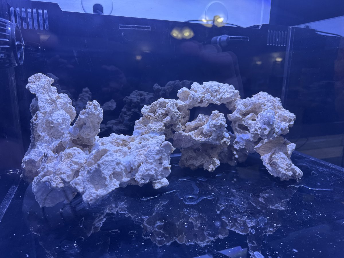 Please critique my ‘scape, and what is Marco rocks? | Page 4 | Reef2Reef
