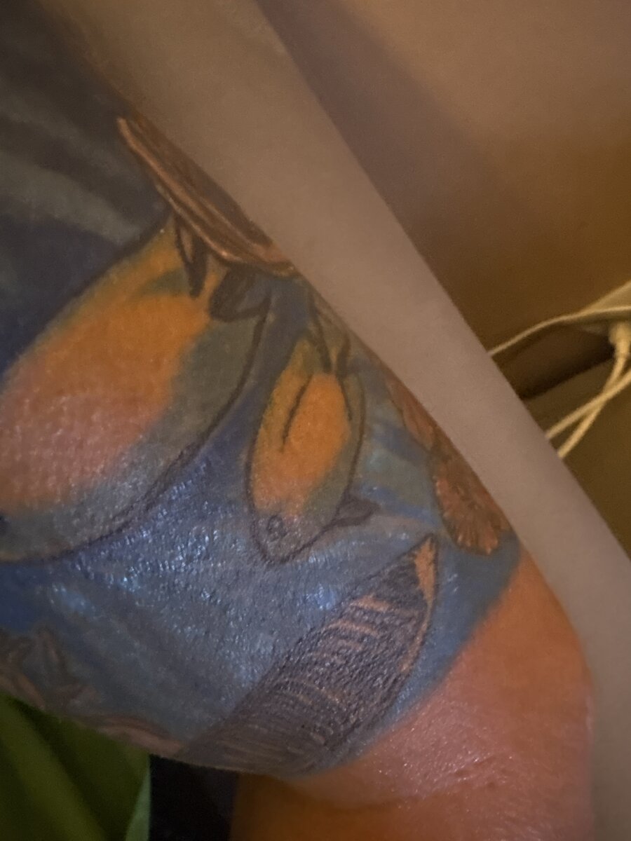 image.jpg