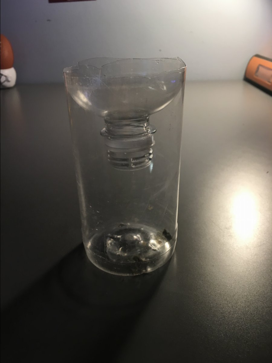 image.jpg