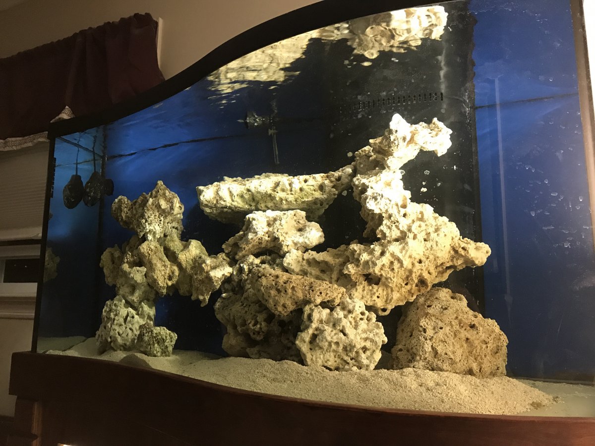 95 wave tank | Reef2Reef