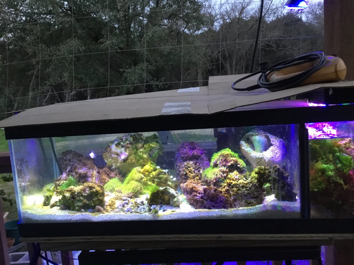 The Other Way to Run a Reef Tank (no Quarantine), Page 109