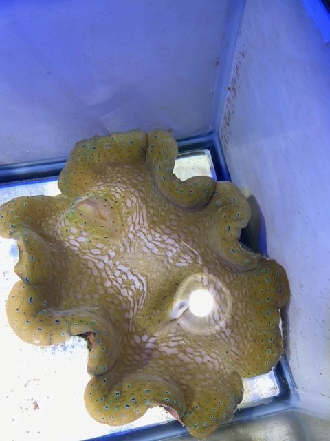 image0 (17).jpeg