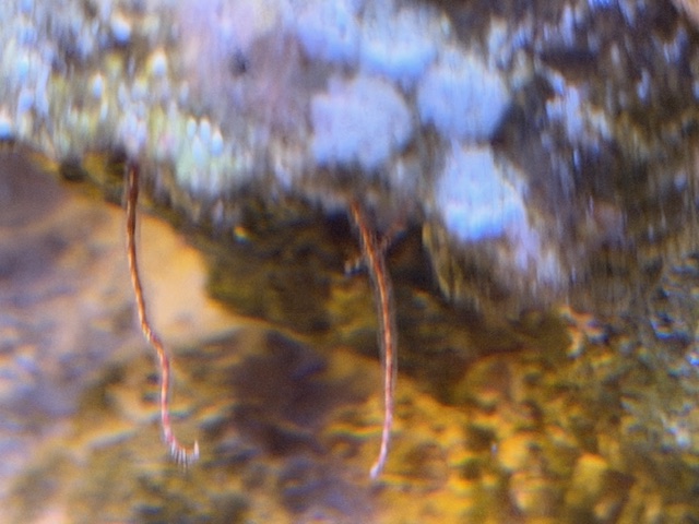 image0 (17).jpeg