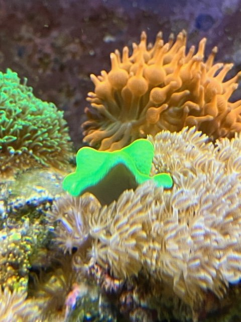 image0 (2).jpeg