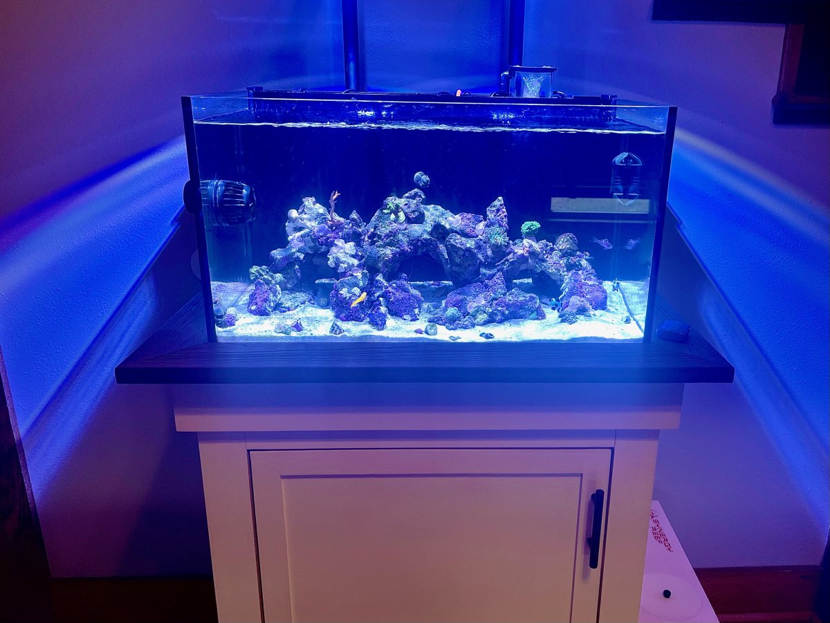 AIO Build - Come Back Over Kill! | Reef2Reef