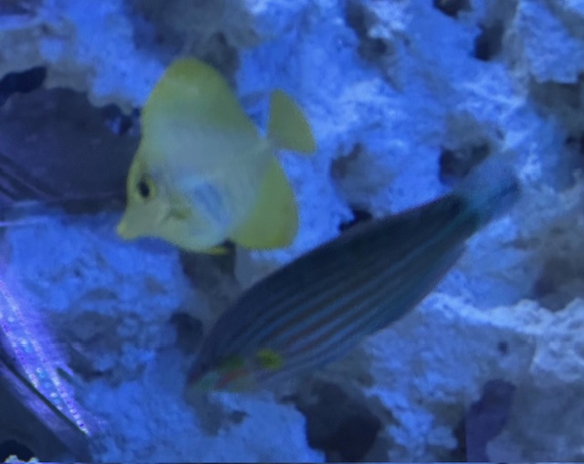 image0 (4).jpeg