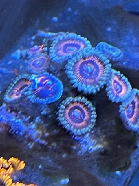 image0.jpeg