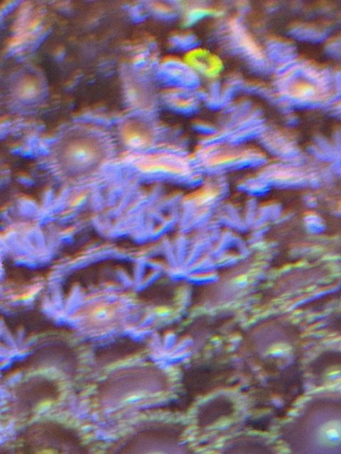 image0.jpeg