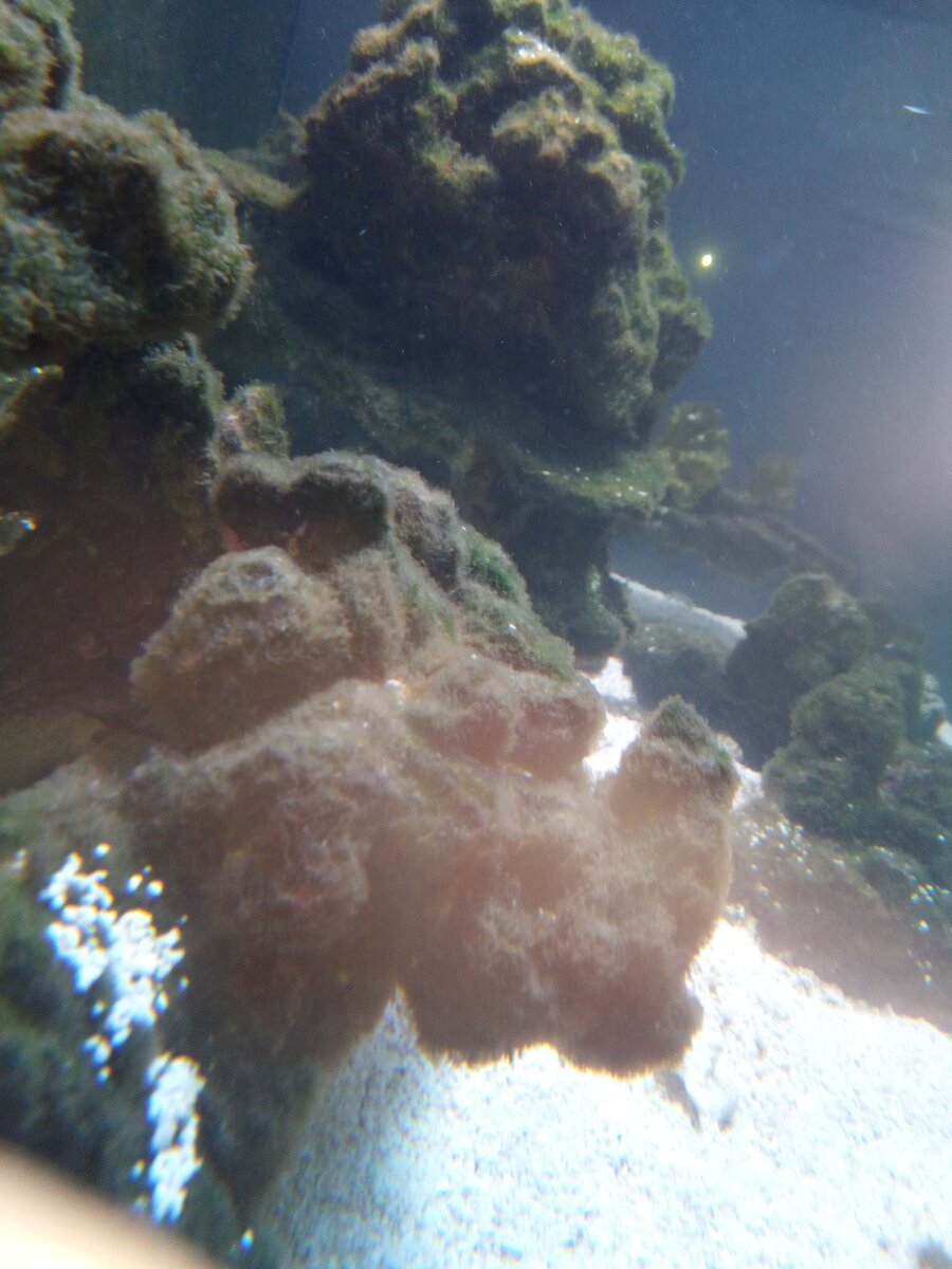 image000000 (7).jpg