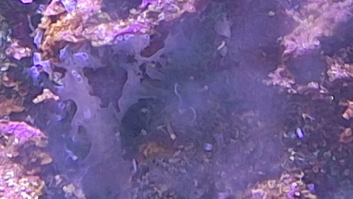 image000002.jpeg