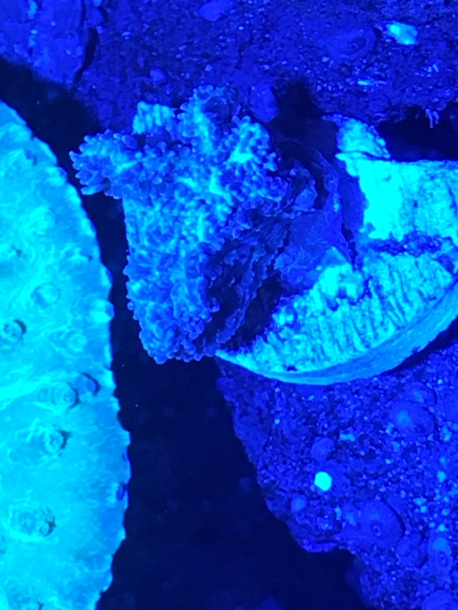 image1 (1).jpeg