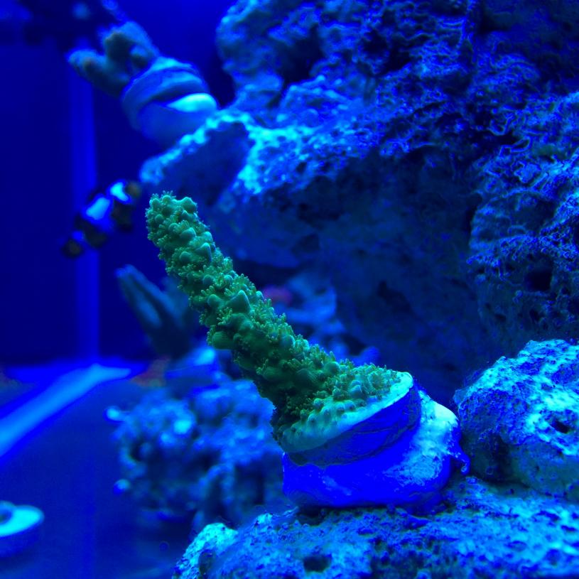 image1 (1).jpg