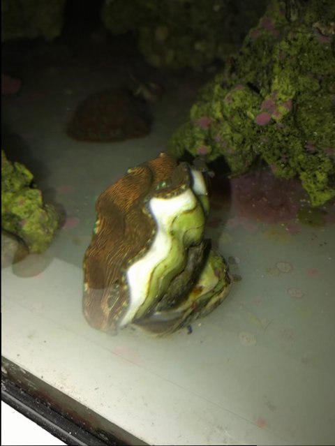 image1 (10).jpeg