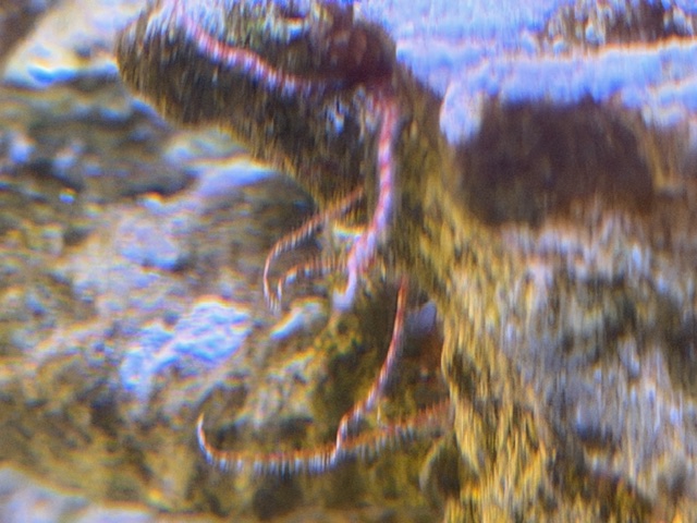 image1 (11).jpeg
