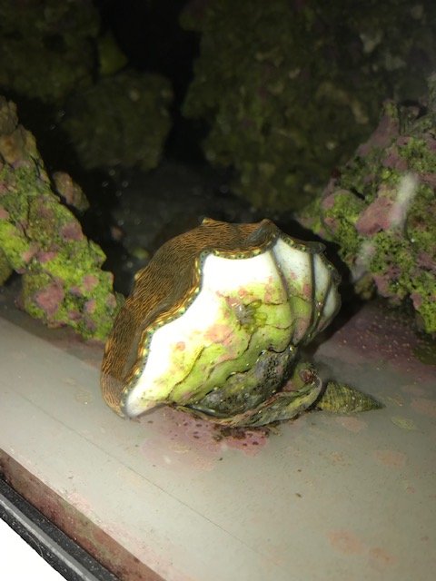 image1 (12).jpeg