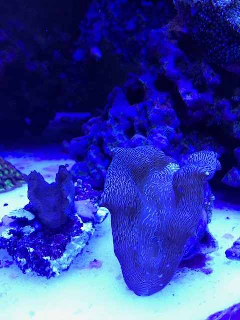 image1 (13).jpeg