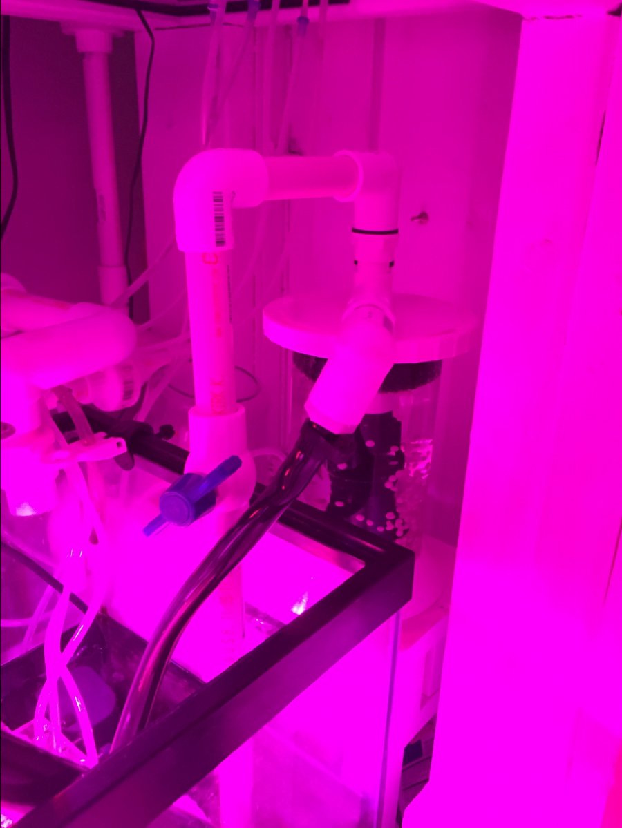 image1 (2).jpeg