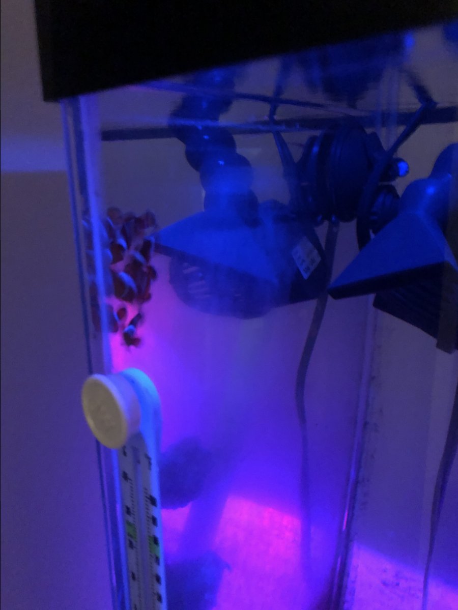 image1 (2).jpeg