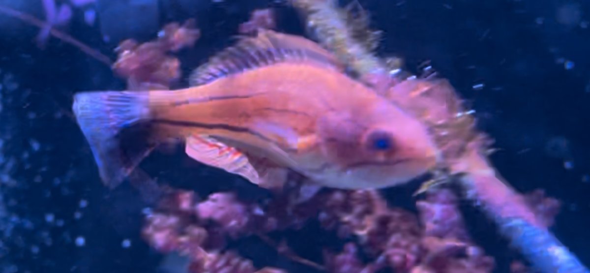 image1 (23).jpeg