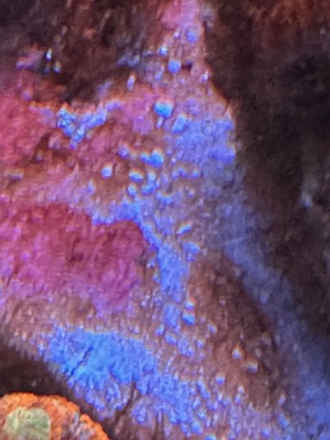image1 (3).jpeg