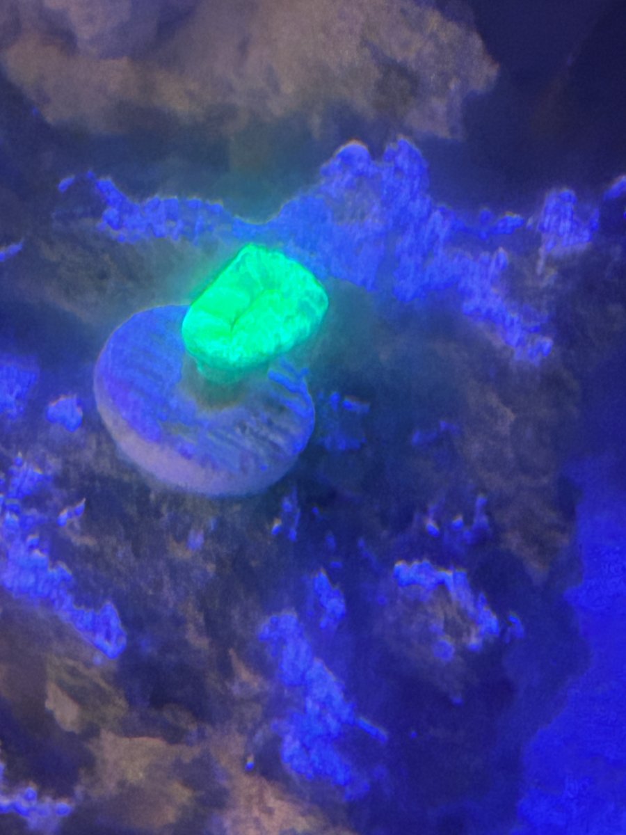 image1 (4).jpeg