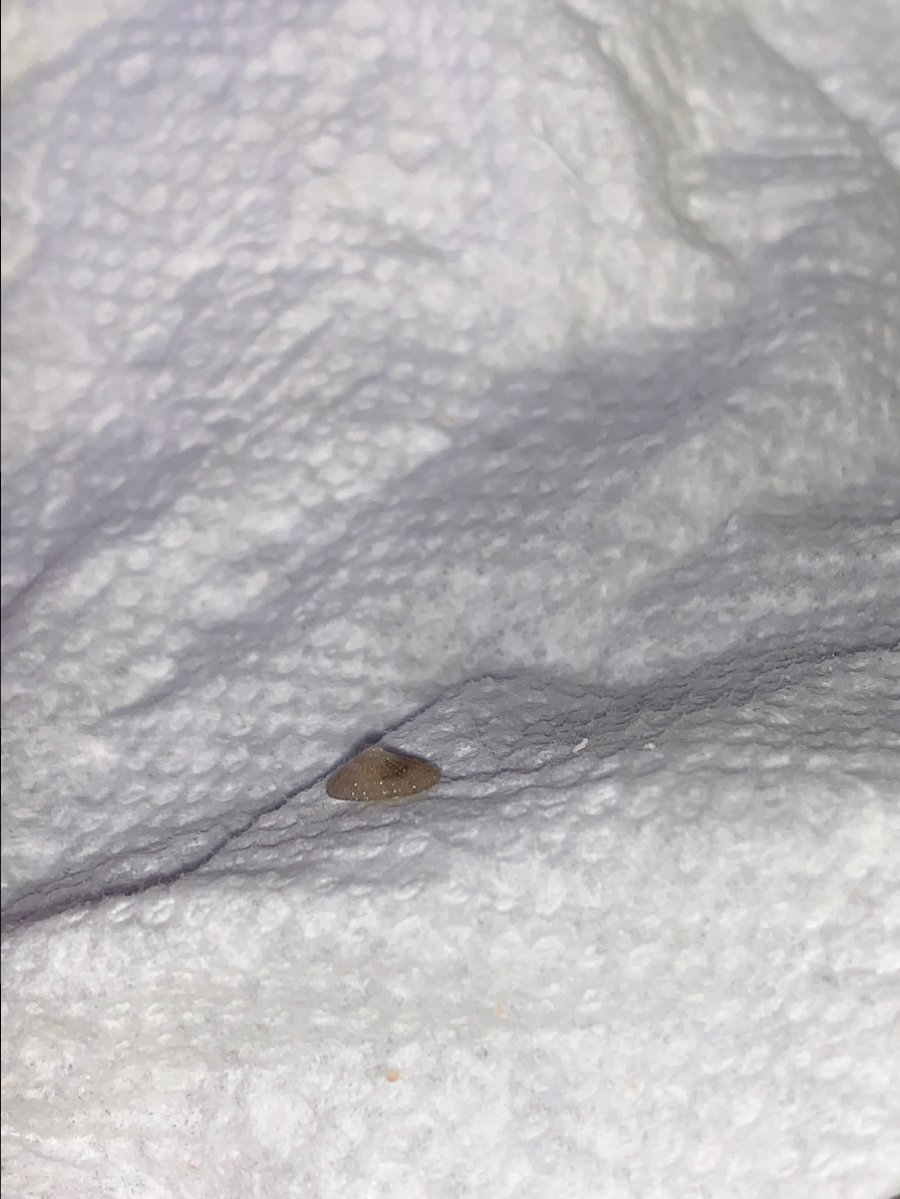 image1 (5).jpeg