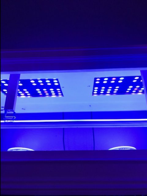 image1 (7).jpeg