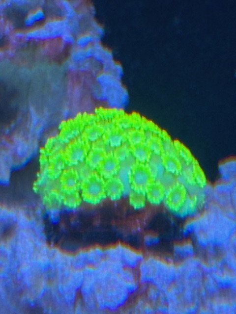image1 (9).jpeg