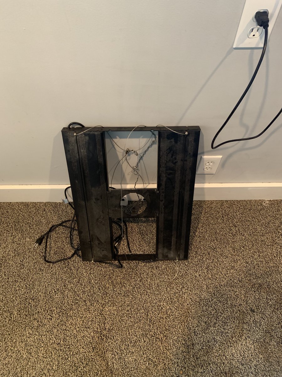 image1.jpeg