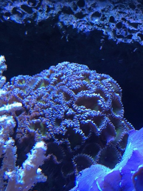 image1.jpeg