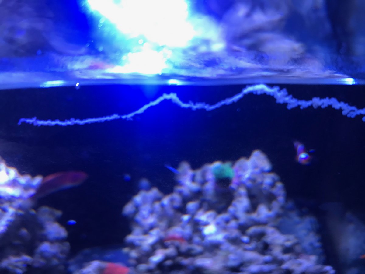 image1.jpeg