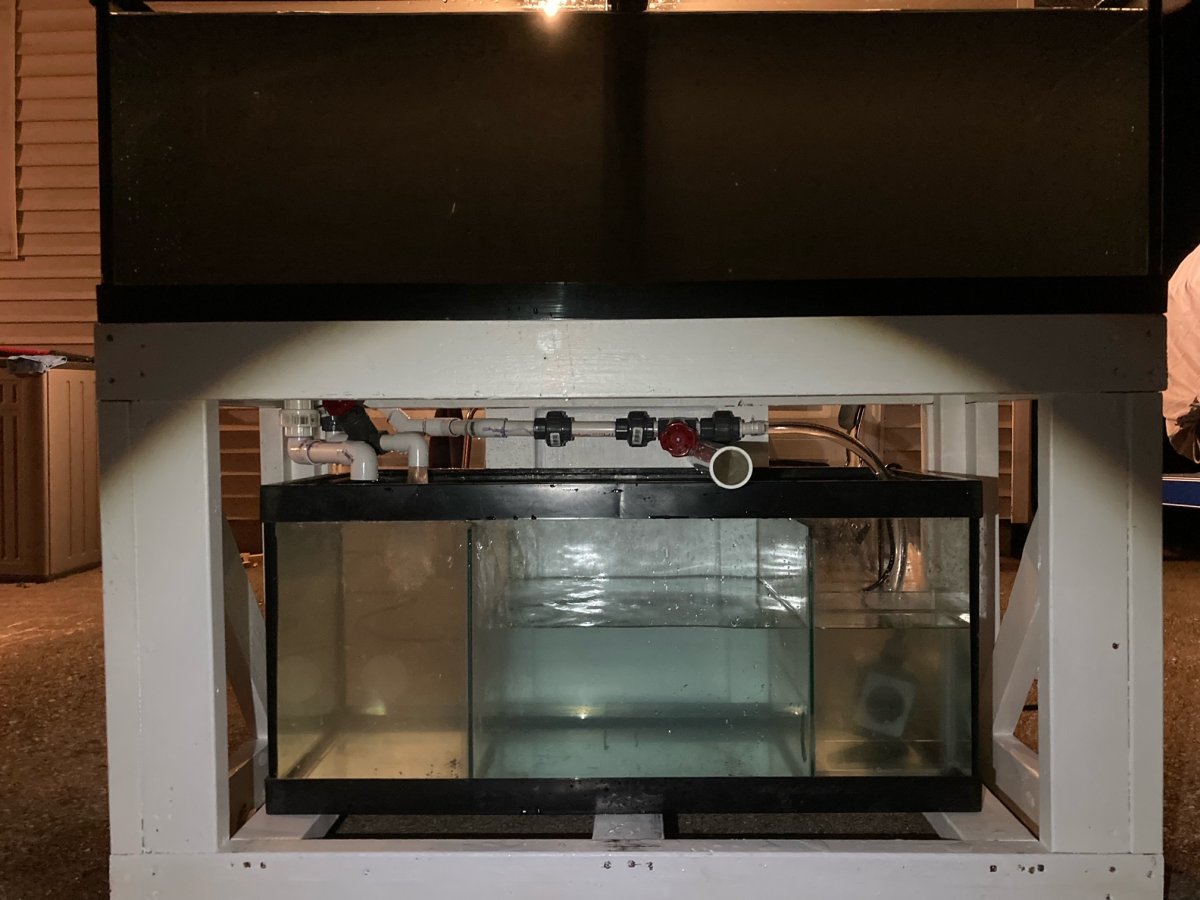 image1.jpeg