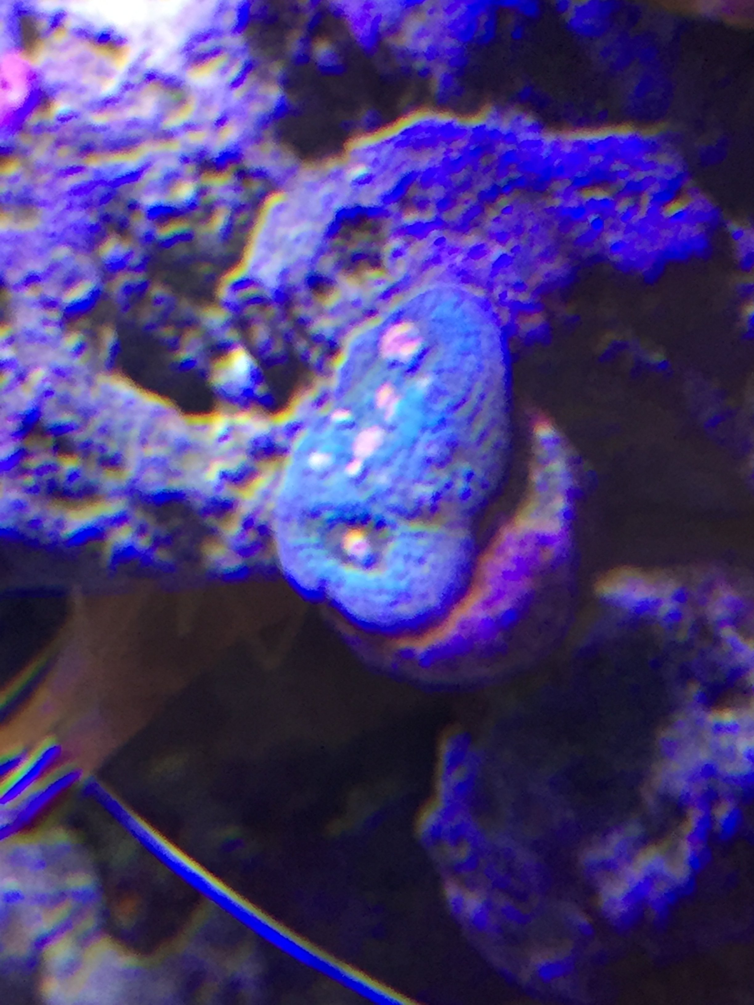 image1.jpeg