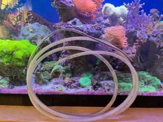 image1.jpeg