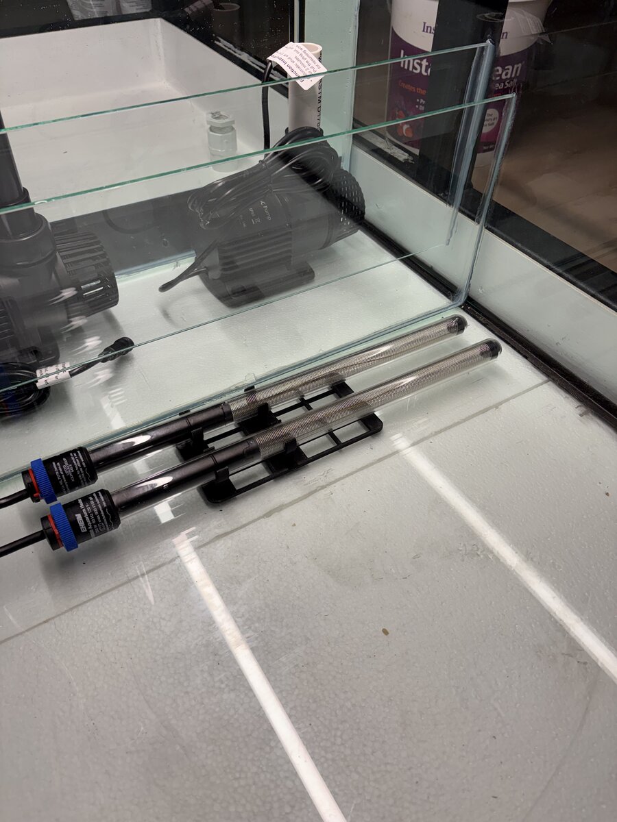 image1.jpeg