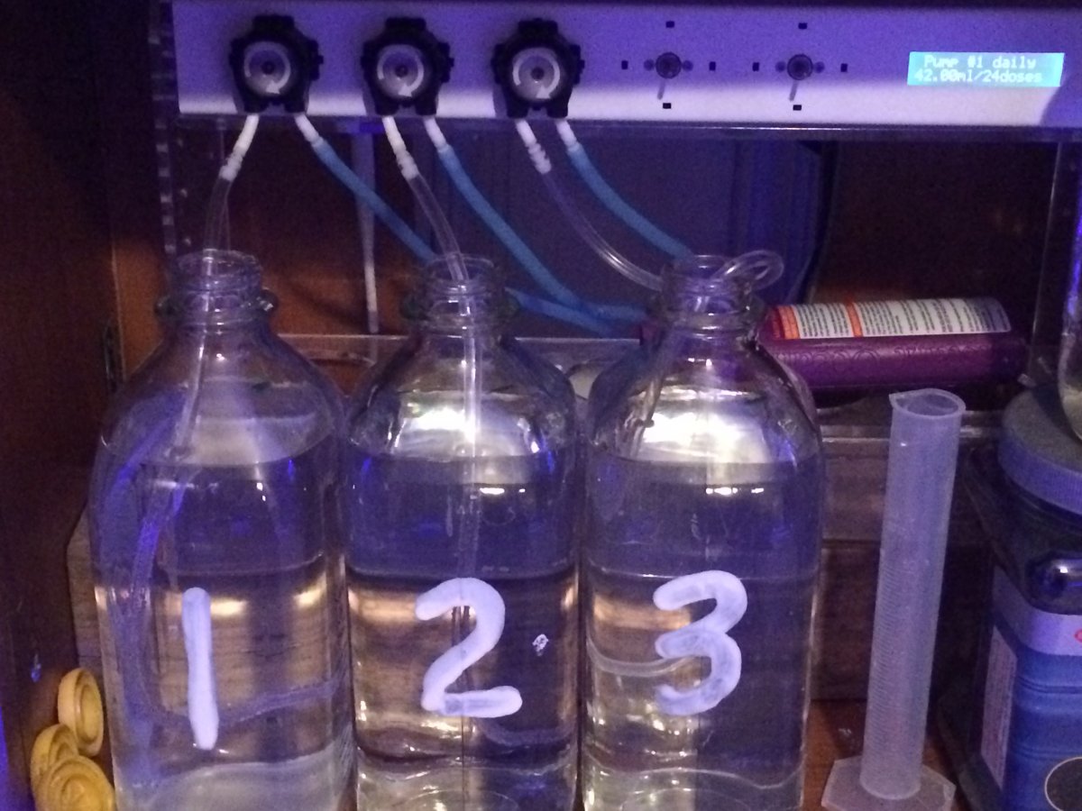 image1.jpeg