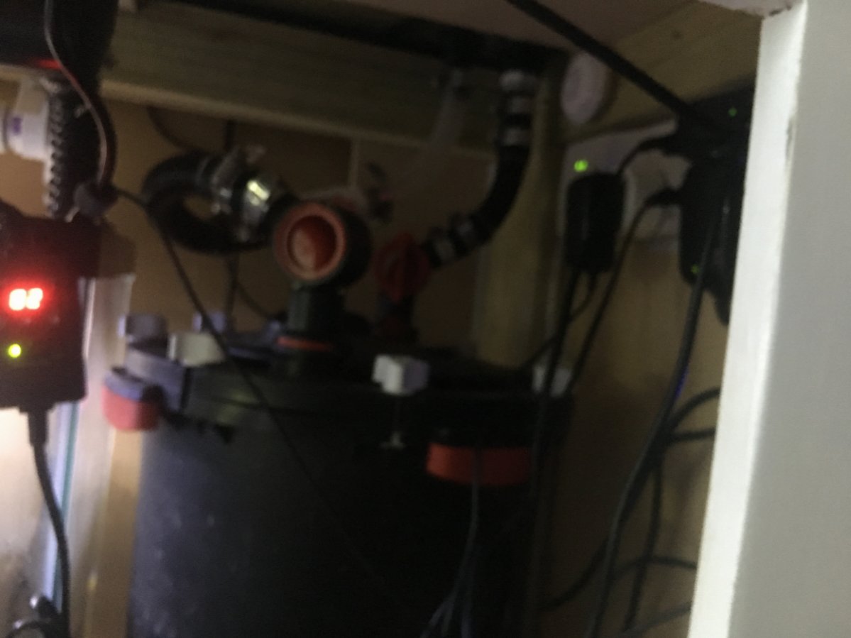 image1.jpeg