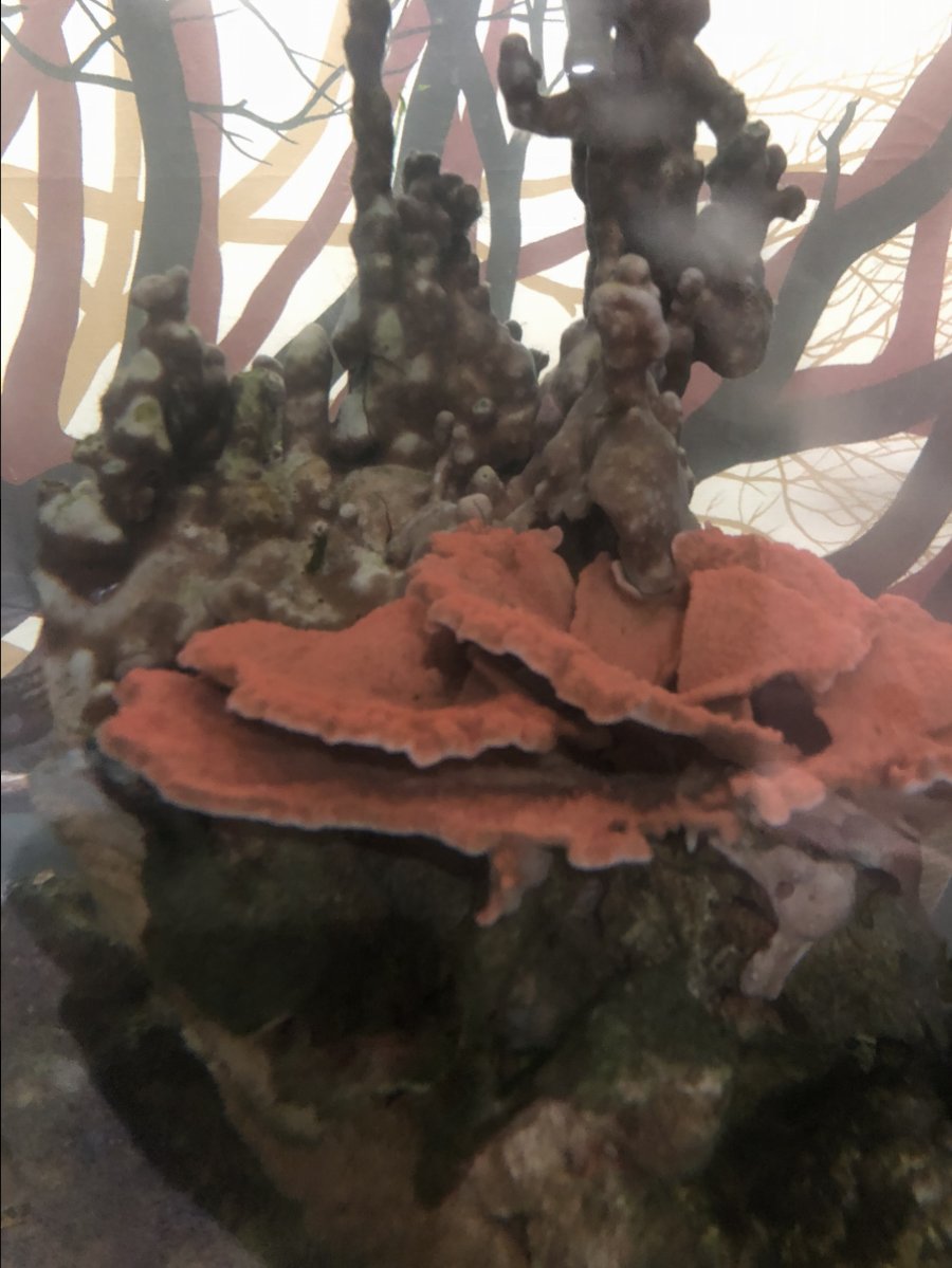 image1.jpeg