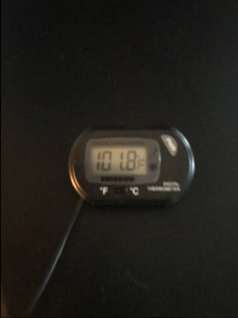 image1.jpeg