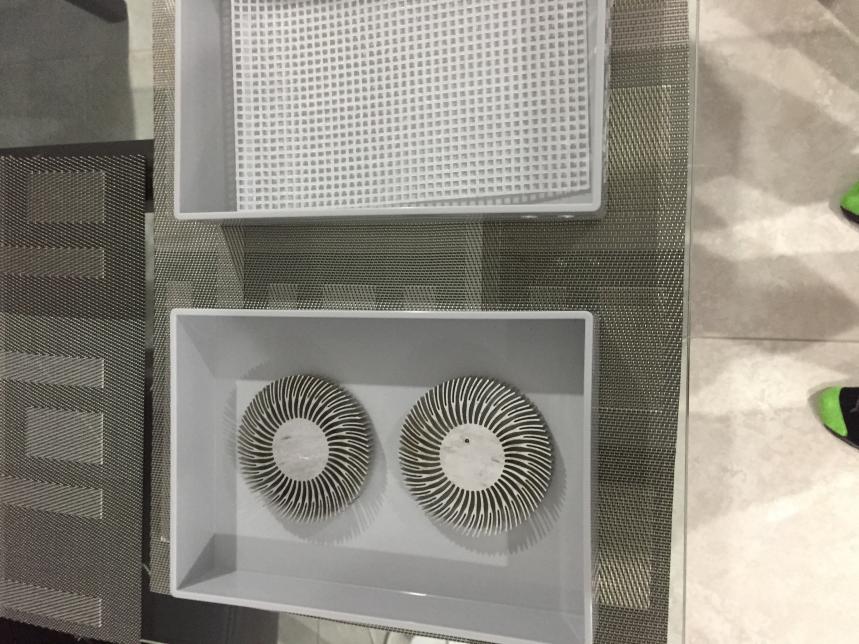 image1.jpg