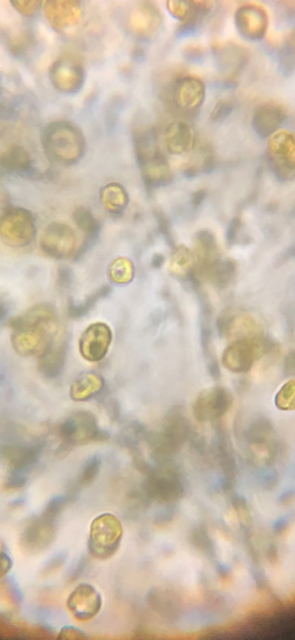 image1.png