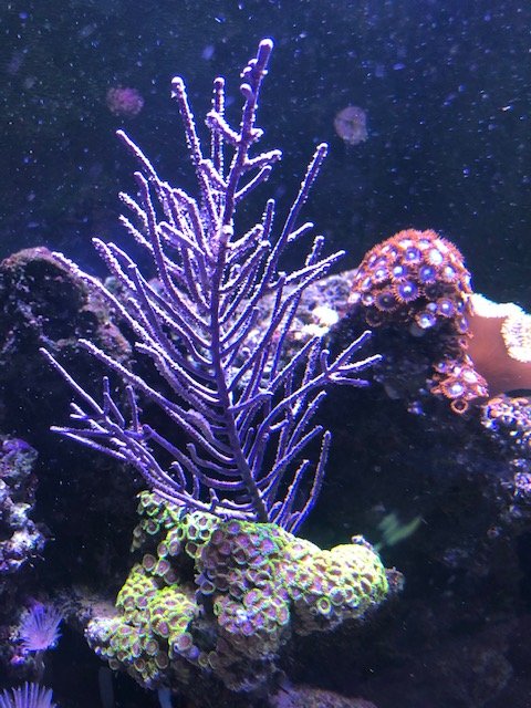 image10.jpeg