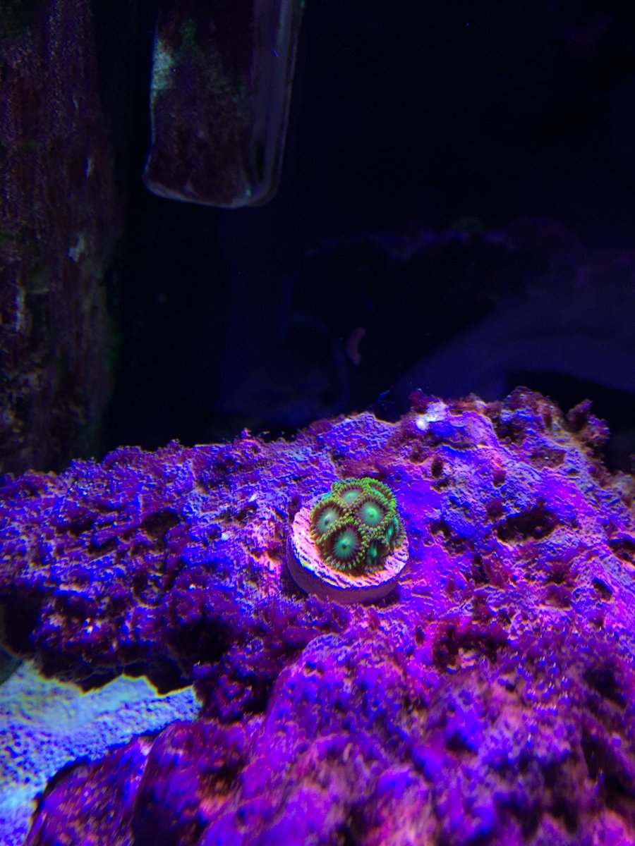 Image1483514547.723191.jpg