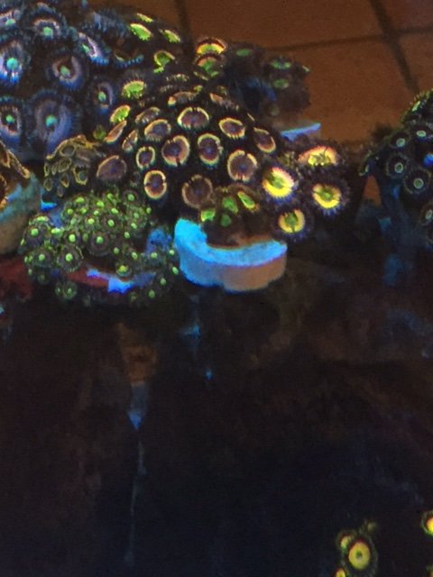 image2 (1).jpeg