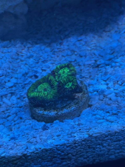 image2 (1).jpeg